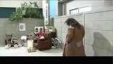 爆笑志村健：志村健沦为乞丐，捡垃圾捡到了美女！