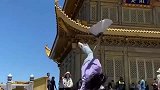 学武术的小姐姐可不敢惹，看这漂移的身姿，大汉也扛不住一拳啊！