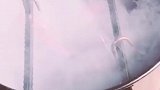 香不香隔着屏幕闻闻吧