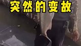 送上门的鱼都把握不住