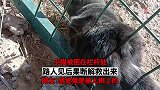 感觉像是被人绑上的，路人见后果断解救出来