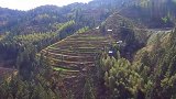 航拍贵州美丽的梯田，还有人在梯田里建房，这才是真正的世外桃源