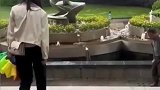 想了一夜都没想明白到底输在了哪里