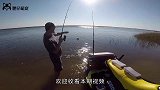 男子给河豚吸烟，河豚一口气吸完一根烟，下一秒意外发生了