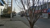 母猫老是欺负公猫，公猫一再忍让，这就是爱吧