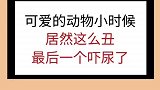 学生党冷知识涨见识萌宠