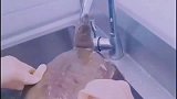 这乌龟临死挣扎，竟然做出这种举动，网友嘴还挺硬！