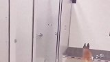 蠢萌蠢萌的狗子来了