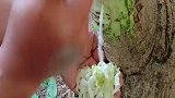 自己动手丰衣足食，能省一点是一点