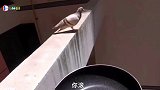 外面怪热的，快到锅里来！