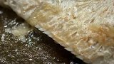 三抱鳓鱼（美食篇）