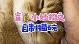 虽然对不起猫碗商家，但是我为什么要花冤枉钱