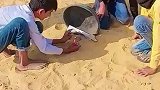 国外小孩也玩冲天炮，真不带怕的