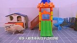铲屎官羡慕小仓鼠住着别墅，玩着滑滑梯，过得真舒服