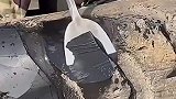 轮胎这样翻新，真是长见识了