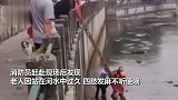 老人听信谣言下河取“无根水”治眼痛结果被困河道无法上岸
