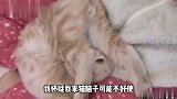 就是这个味道，这也太香了，就是有点上头