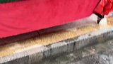 这老板是有灵魂的，太有趣了