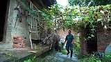 和老公一起回娘家，桃子姐做两盆蒜苗回锅肉，香气四溢，幸福满满