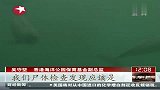 热点-香港亦现江豚集中死亡12天内发现7具江豚尸体