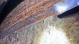 原来乳胶是这样采集的