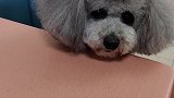 其实真的希望是我看错了