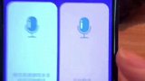 原来所有物种骂街开头都用这一句……