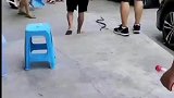 户外遇蛇大哥一秒徒手抓走，你礼貌吗这么多人看着