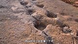 非洲发现神秘“脚印”，比人类的脚大2倍,专家已经存在2亿年