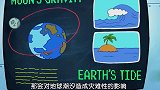 海绵宝宝：圣诞老人说的真对，海绵宝宝的圣诞礼物，需要有点智商
