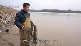 黄河涨水来鱼了！小胖深坑撒网扣中纯野生大鲤鱼，全身金黄太稀罕
