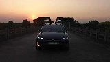 夕阳下还有它在跳舞