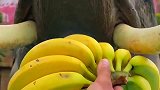 挑战吃香蕉不剥皮，这些香蕉还不够它塞牙缝的