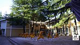 少林集体棍,集体拳,棍棍带风声,拳拳劲爆,武僧打的气势十足!