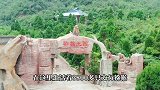 中国猴山济源五龙口,地球纬度最北的猕猴王国,看山看水看猕猴