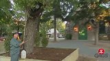 大叔让路人帮他喷蜂巢，结果掉下来了一只大蜜蜂，真搞笑！