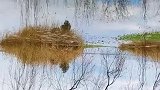 在家看风景