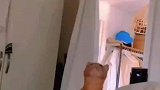 猫咪误把灯罩当猫窝，精准跳跃直接钻进去