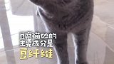 豆腐猫砂真的是豆腐做的吗