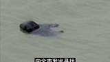 厦门S妻碎S惨案  (一)  真实案件