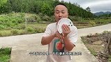 刘谦表演过的一秒钟还原洗乱的牌，特简单，学会骗朋友玩