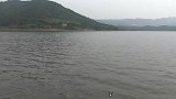高清看漂，水库6.3长竿连杆小青稍，却遭遇小鲤鱼闹窝