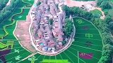 这深山小村，周围种满了“彩色水稻”，不知道袁老会作何评价
