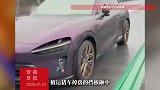 小车高速上被运猪车掉落挡板砸中，女子帮忙抓住获赠一头小猪仔
