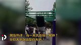 大爷您疼吗？北京公园再现硬核健身 肉身撞杆哐哐直响