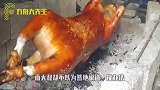 退休大叔家门口烤乳猪，天天被邻居投诉，味道太香也是罪过？