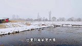 距离齐齐哈尔500公里哈尔滨，大雪纷飞，南方的朋友们呐喊吧！