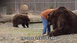 两名男子骑车偶遇棕熊，被一路狂追上演生死大逃亡，镜头记录全程