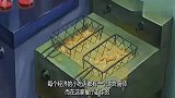 海绵宝宝：比奇堡人人都爱蟹黄堡，病人宁可去死，也要吃蟹黄堡