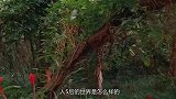 人死后的世界是怎样的？离奇小岛能让活人亡魂共生，烧脑悬疑美剧